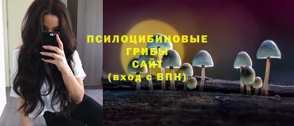 mdpv Горно-Алтайск