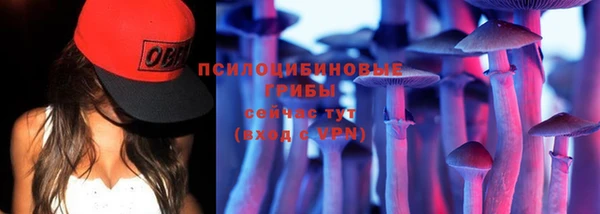сатива Горнозаводск