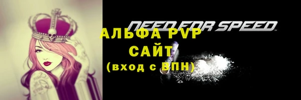 мдпв Горняк