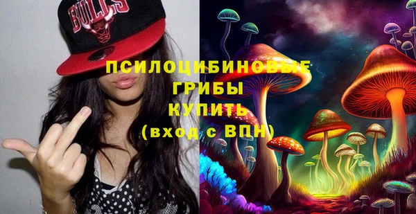 сатива Горнозаводск