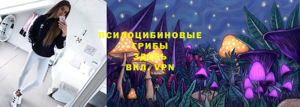 mdpv Горно-Алтайск