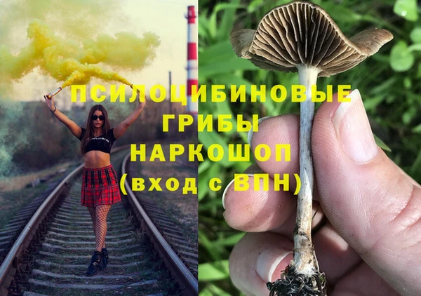 сатива Горнозаводск