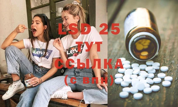 мдпв Горняк
