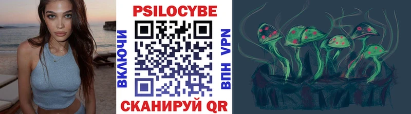 Галлюциногенные грибы Psilocybine cubensis купить наркотик omg рабочий сайт Минеральные Воды