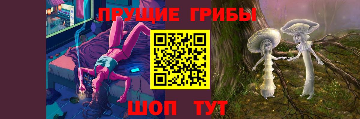 Псилоцибиновые грибы мухоморы Минеральные Воды